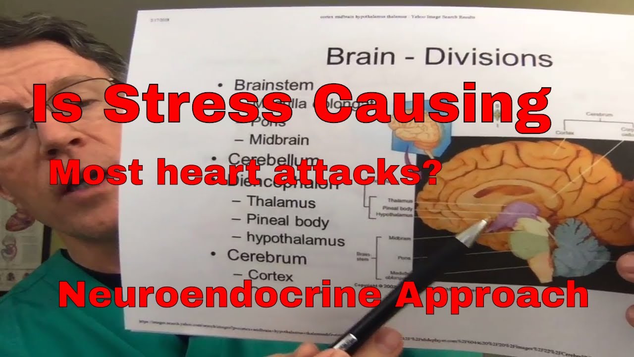 Is stress a major cause of diabetes (and heart attack, stroke & dementia)? - FORD BREWER MD MPH