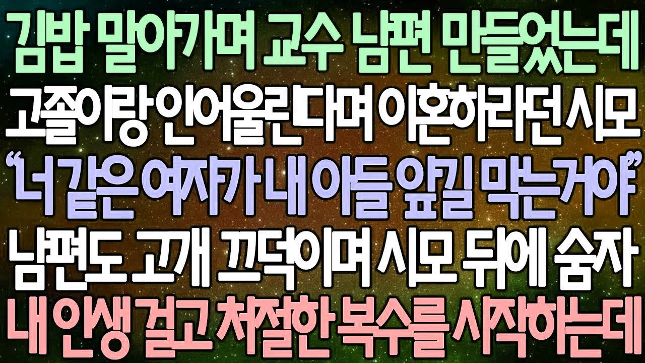 [반전 사연] 김밥 말아가며 교수 남편 만들었는데고 졸이랑 안어울린다며 이혼하라던 시모 남편도 고개 끄덕이며 시모 뒤에 숨자내 인생 걸고 처절한 복수를 시작하는데 | 사이다사연