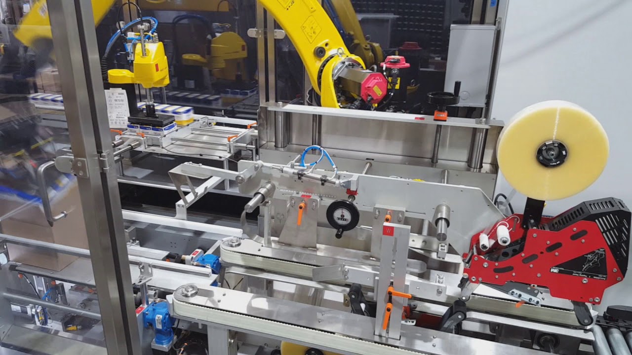 High Speed Robotic Case Packers for RSC Cases
