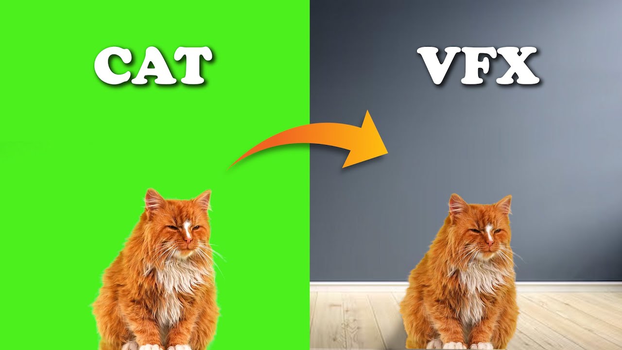 Green Screen Cat || Cat Sitting || Green Screen Effects || VFX