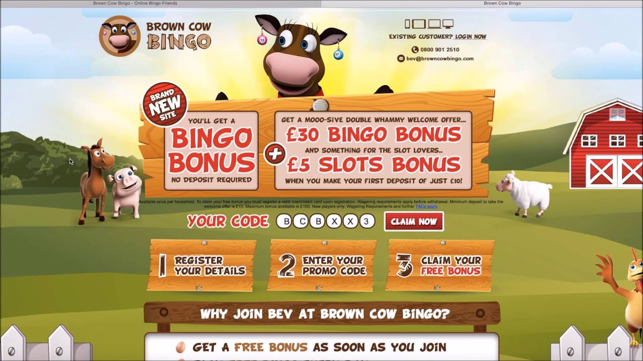 Brand New Bingo Websites 2017