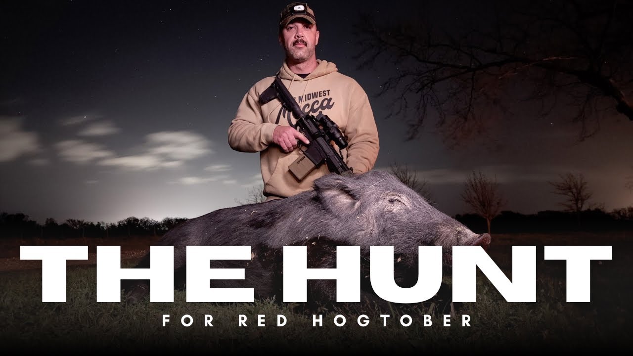 Hog hunting at the Sellmark Ranch