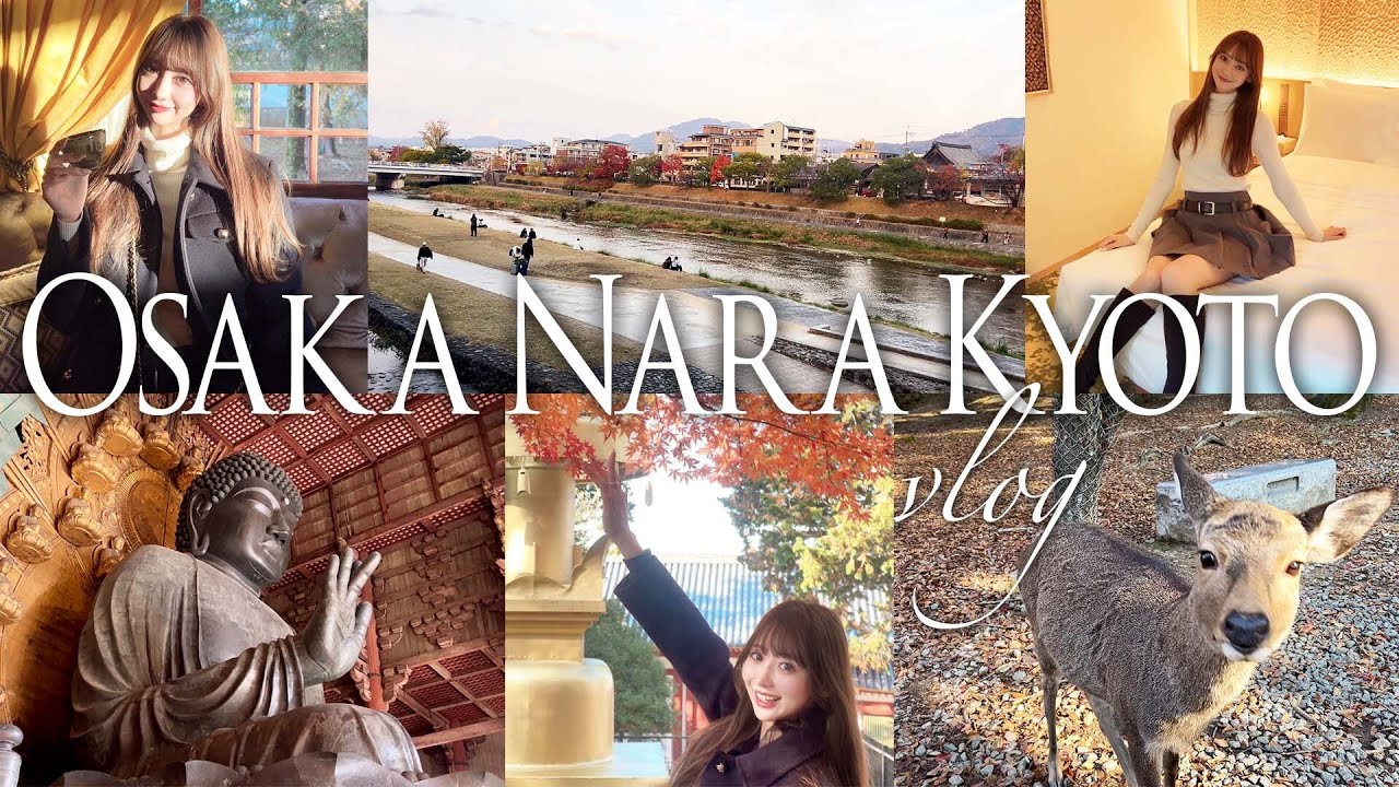 【関西ホテルステイ vlog】今年絶対に行ってほしい🍁大阪・奈良・京都の秋を満喫🏢✨/東大寺/紫翆/ハルカス
