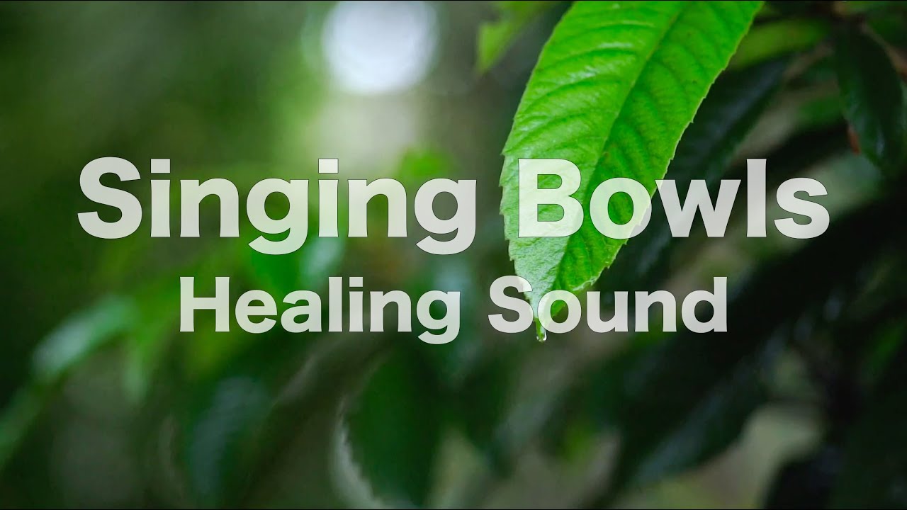 🎶 220Hz Lung Frequency 肺臟 🌙 西藏頌缽療癒音頻 Tibetan Singing Bowl Sound 😴💤  冥想 Meditation  🎶 EP545
