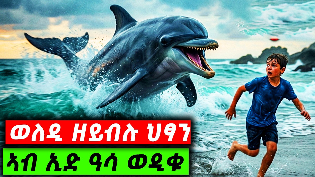 ኣዲኡ ዝሰኣነ ቆልዓ ምስ ኣዲኡ ዝሰኣነ ዶልፊን ከቢድ ሕንቅንቅ