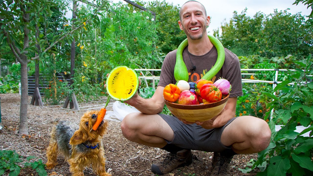 October Organic Garden Harvest! Local Food at its Finest 🥕🐕
