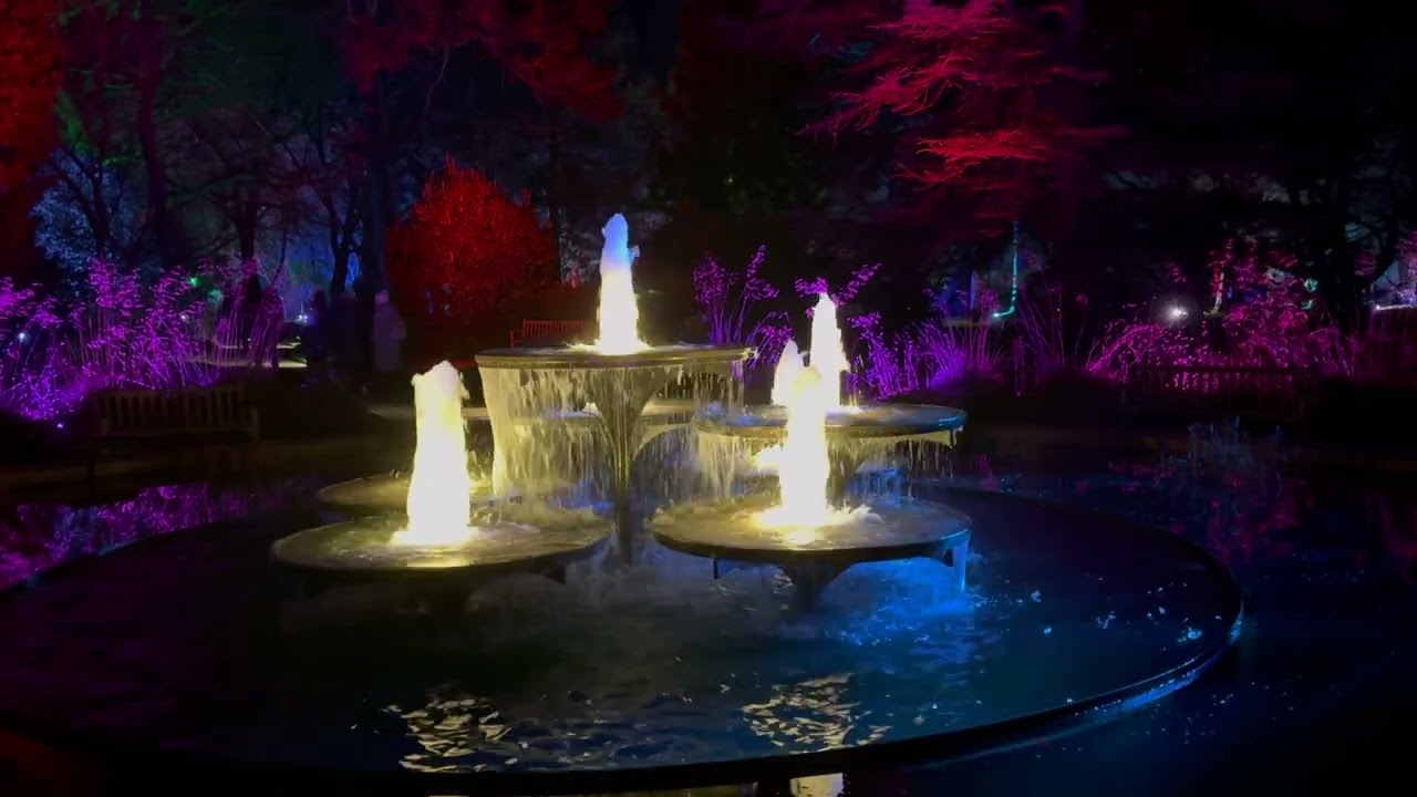 Cambridge Botanic Gardens Lights 2024