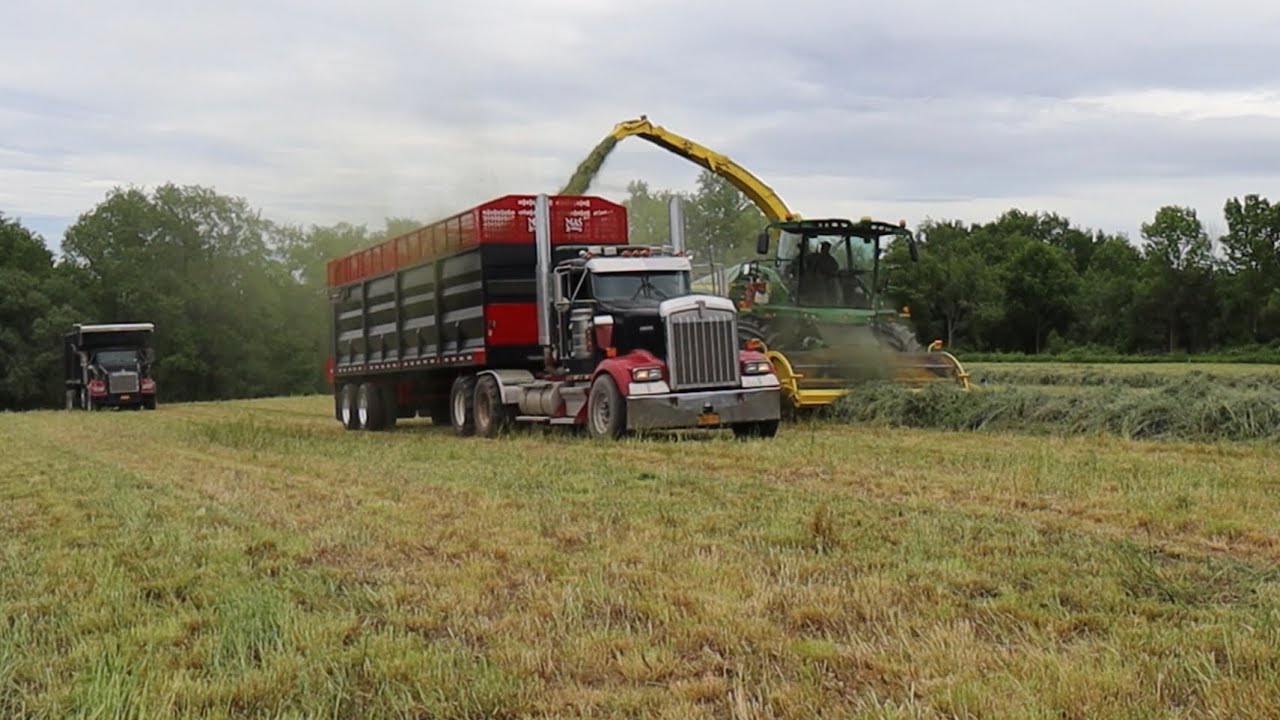 Mas Silage trailer, the first load