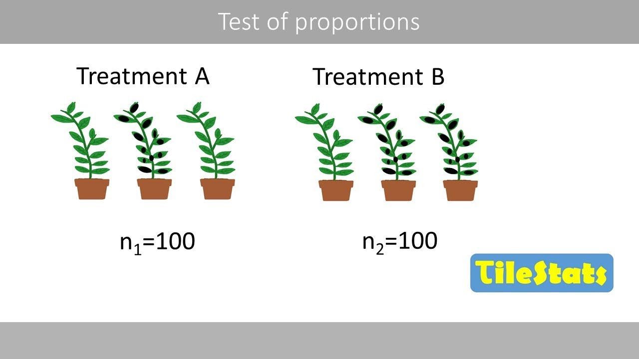 The two proportion z-test and the Chi-square test of homogeneity