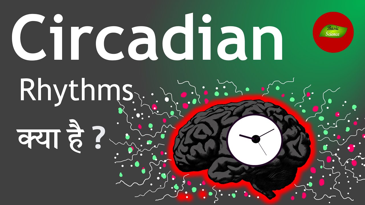 Circadian Rhythms and Human Health in Hindi | Basic Science Series