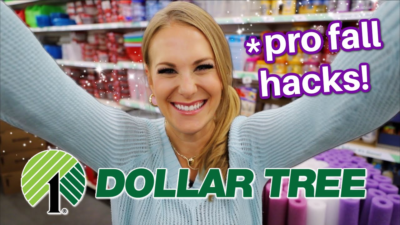 You didn't expect these DOLLAR TREE hacks (bleach did WHAT?!)