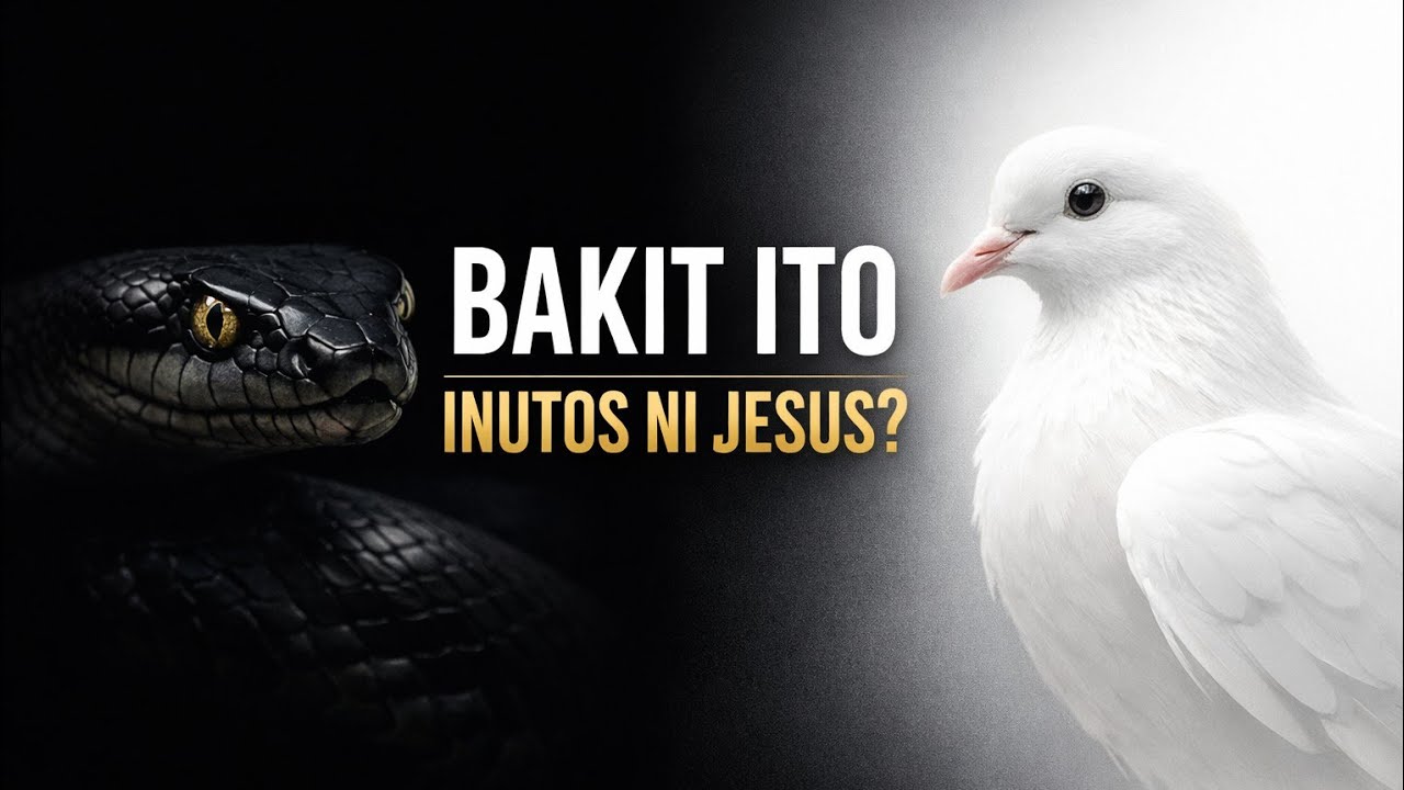 WISE AS SERPENTS | GENTLE AS DOVES