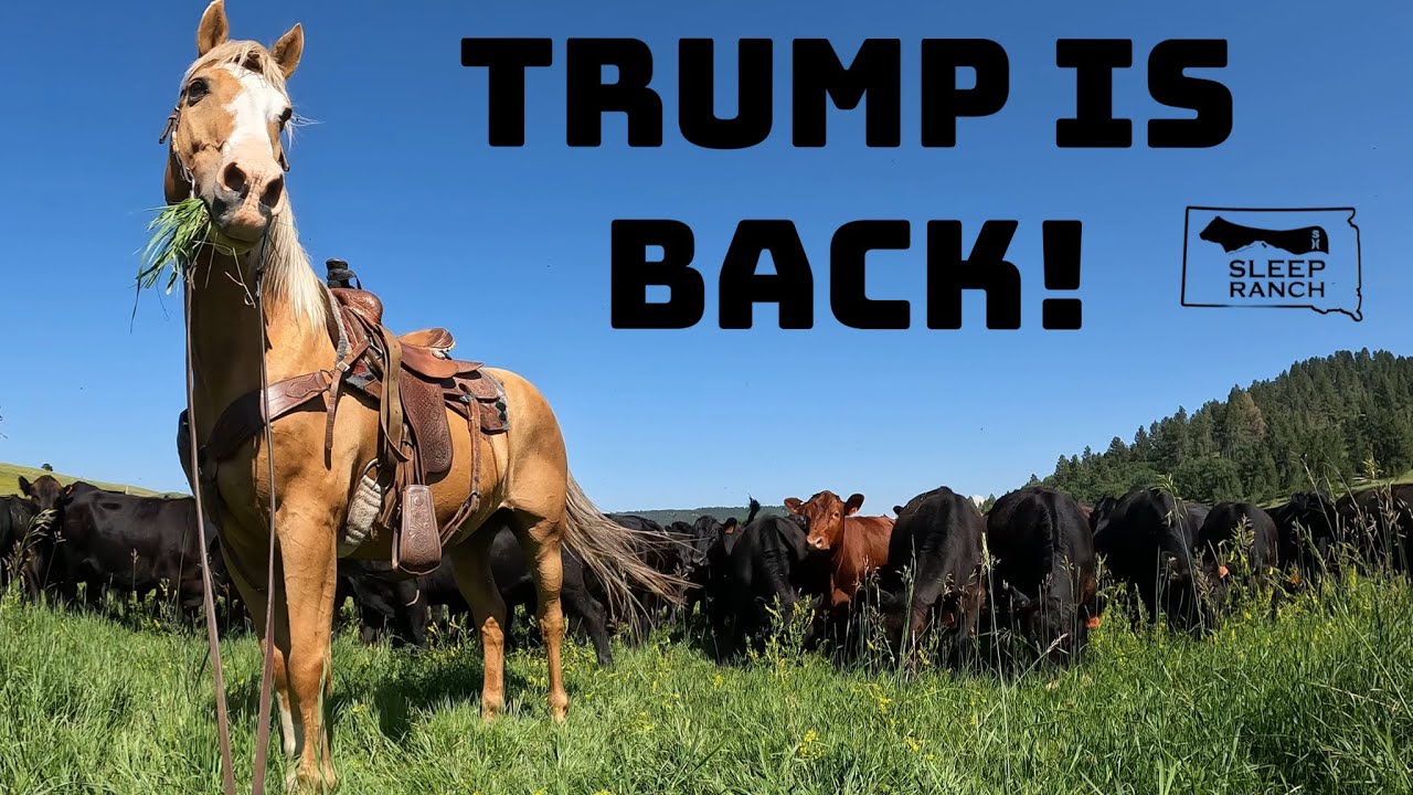 Round &lsquo;Em Up!
