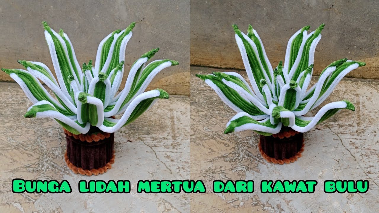 Cara membuat bunga lidah mertua dari kawat bulu