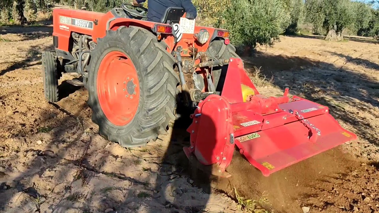 Trabajo con rotavator en árboles y olivos