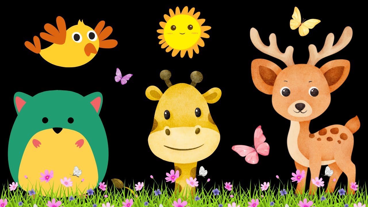 Baby Sensory Video - Tummy Time - Sensory Videos for Babies - Visual Stimulation for Newborn #baby