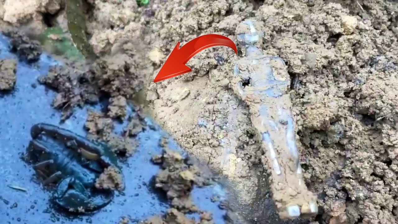 Талисман &laquo;Момент поиска сокровищ&raquo; Скорпион обнаружен под нашими руками !!