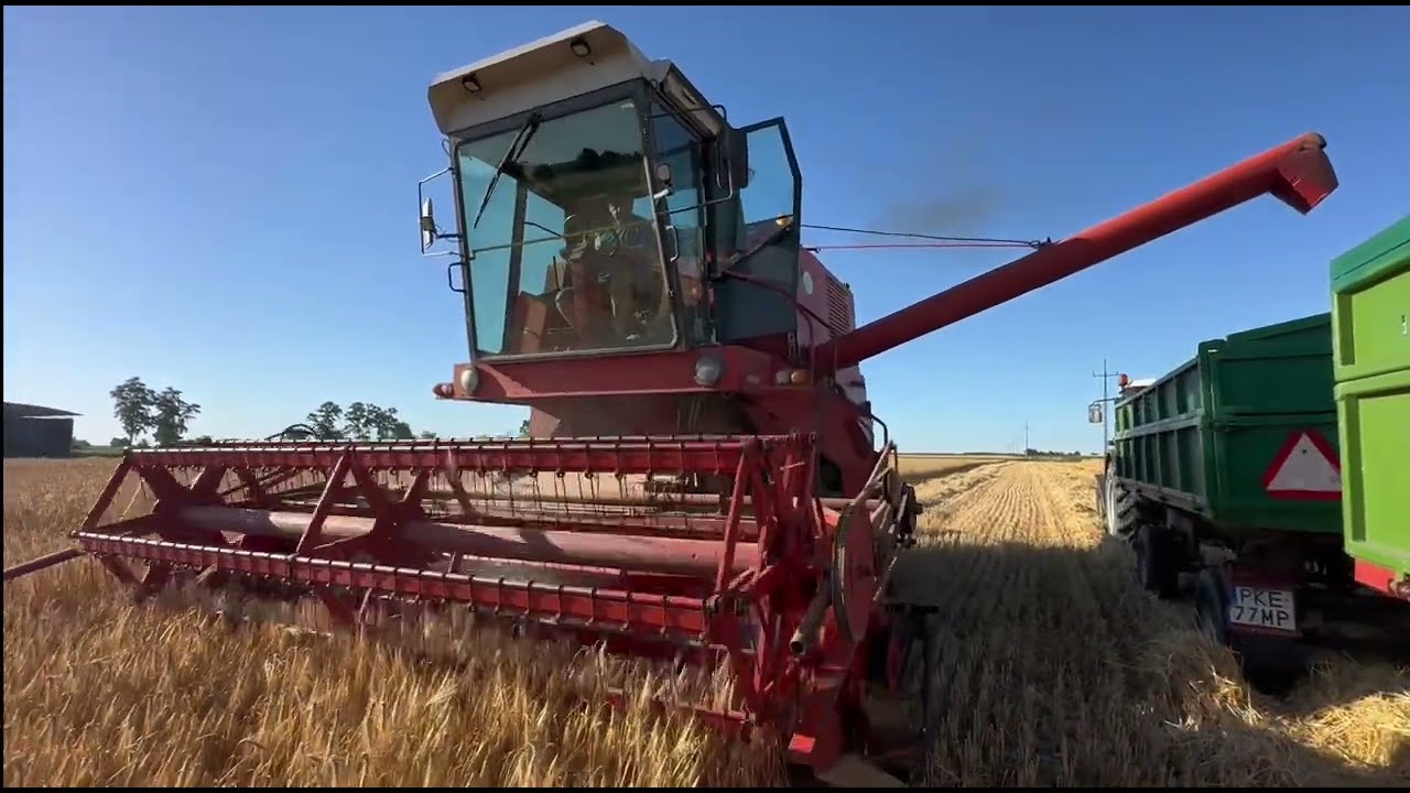 Pierwsze żniwa 2025 !!! Bizon Z056