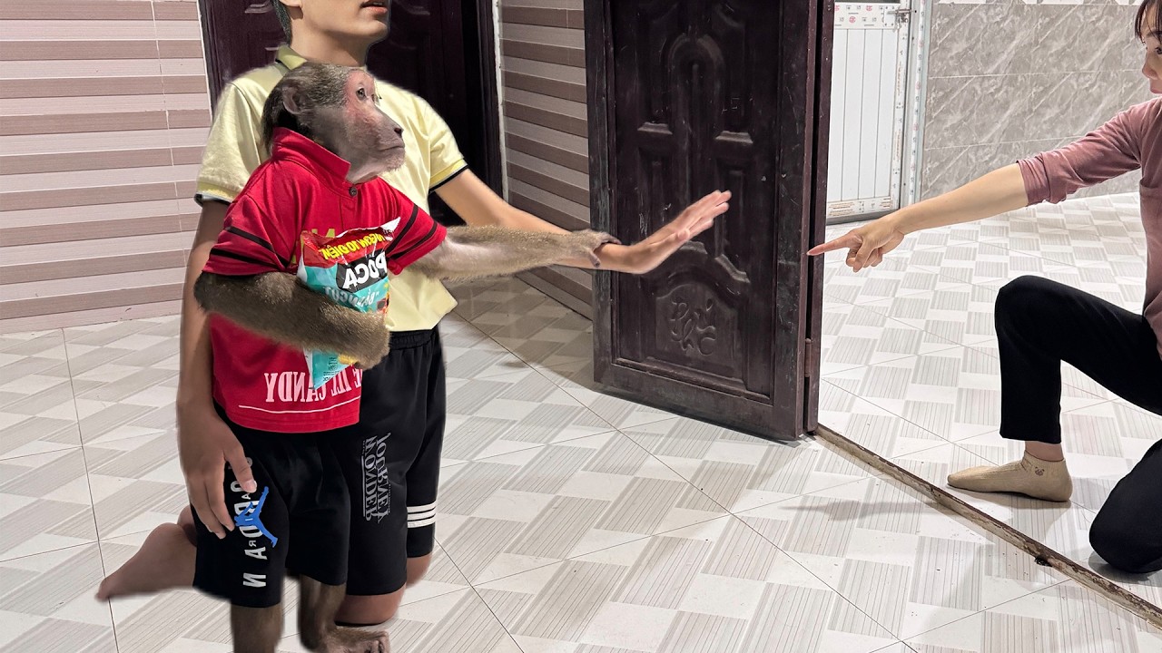 Mom Didn’t Expect the Cameraman to Stand Up for Abu’s Secret Snack Time