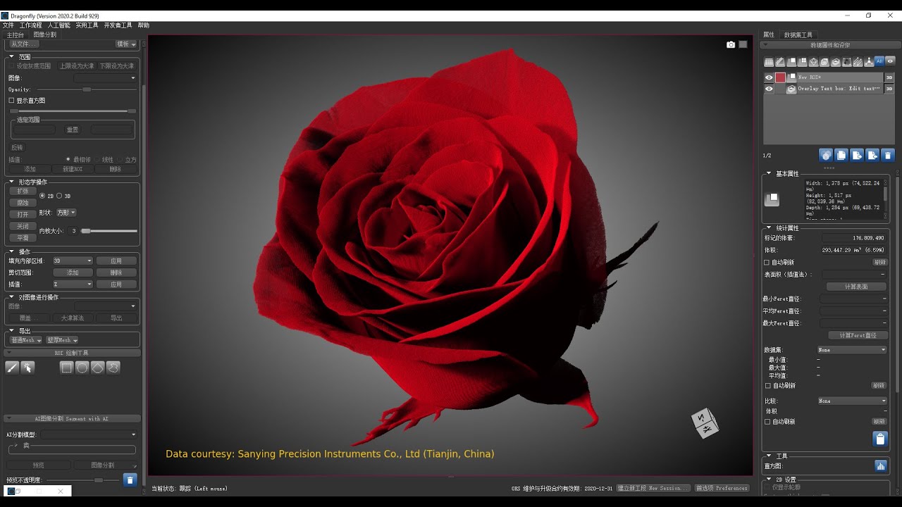 Volume Rendering with ORS Dragonfly imaging software
