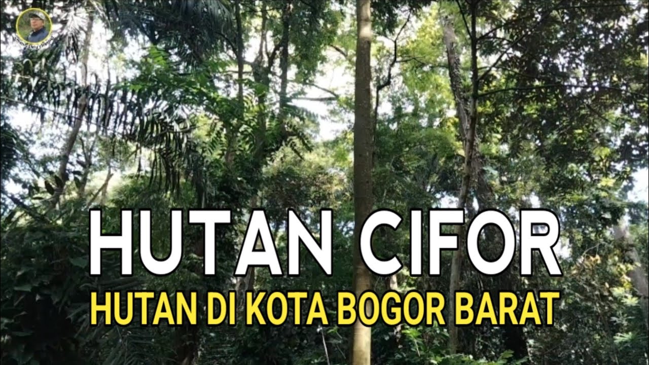 PERJALANAN MENUJU HUTAN CIFOR HUTAN DI KOTA BOGOR BARAT