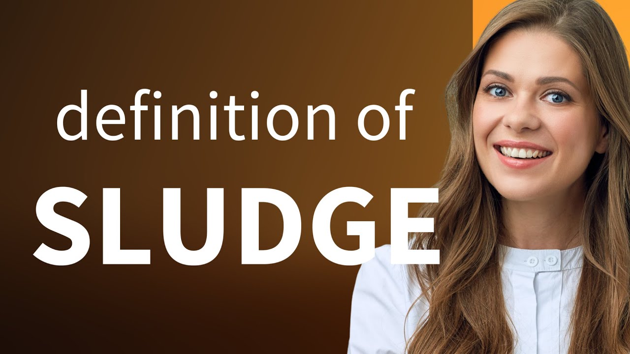 Sludge &mdash; SLUDGE meaning