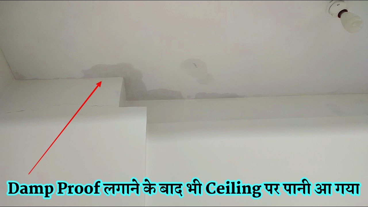 Damp Proof लगाने के बाद भी Ceiling पर पानी आ गया | Berger Damp Proof Paint Update