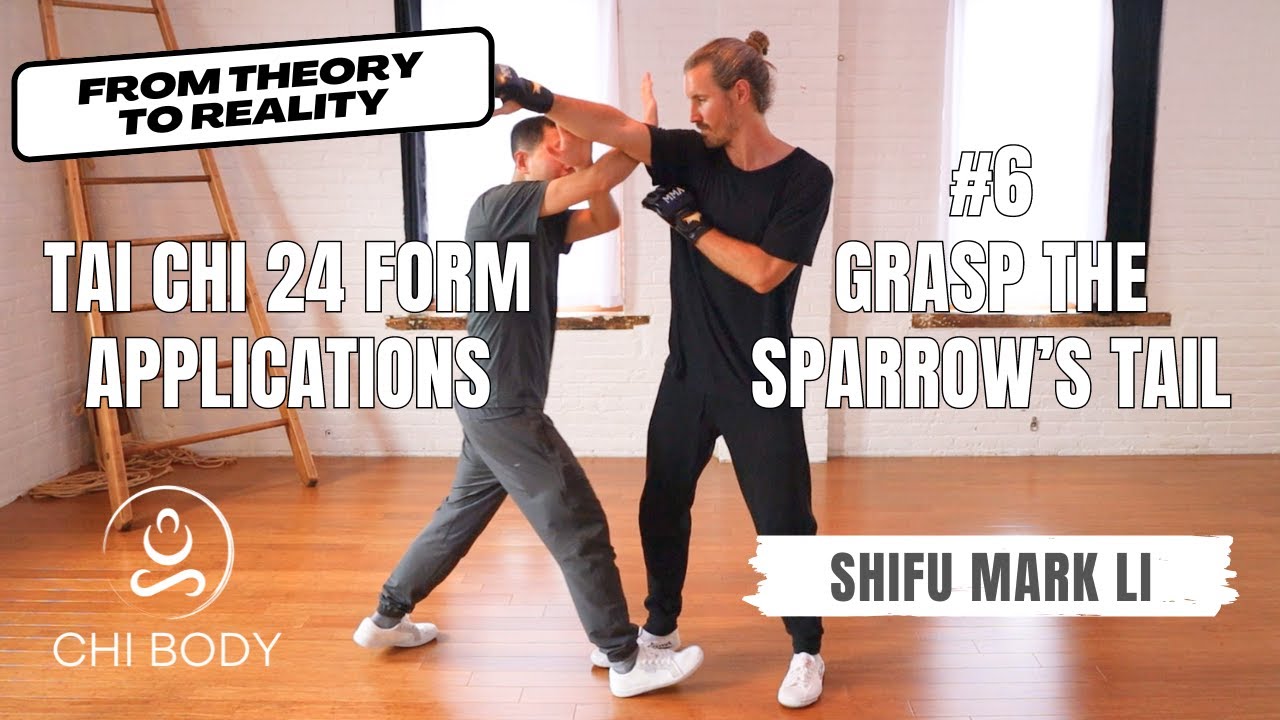 Tai Chi 24 Form Practical Applications #6: Grasp the Sparrow's Tail