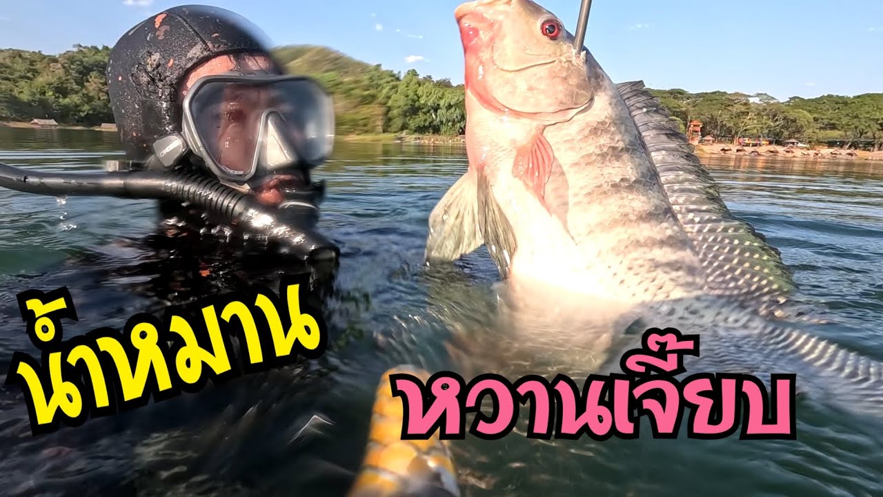 ดำน้ำยิงปลา อ่างน้ำหมาน บอกเลยว่าหวานเจี๊ยบ