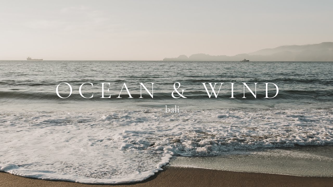 Relaxing Ocean Sounds 🌊 Wind & Birds | 4 Hours of Calm Nature Scenery 