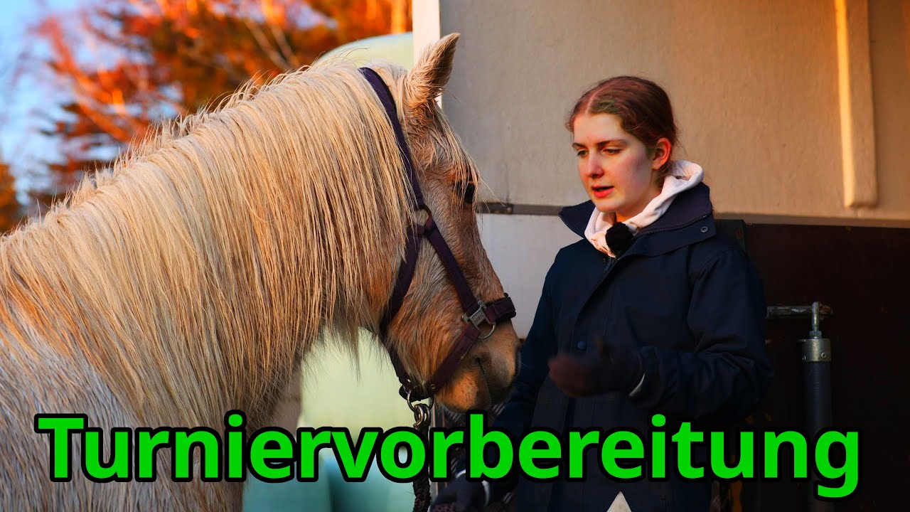 Meine Turnierroutine: So bereite ich Juni vor!