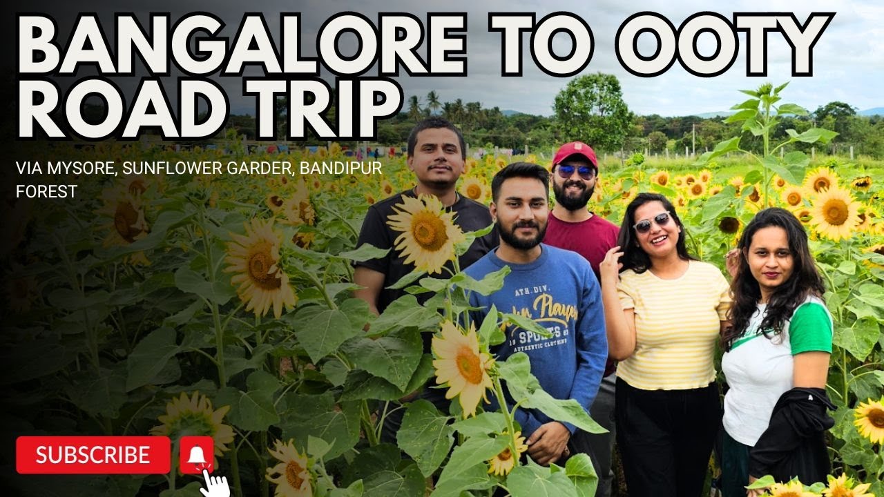 Bangalore to Ooty road trip | Via Mysuru expressway, Sunflower Garden, Bandipur EP:1