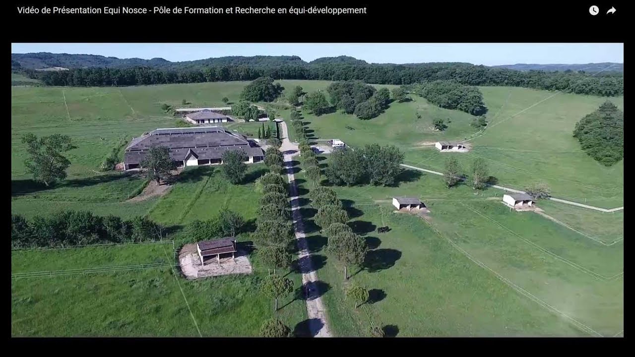 Vidéo de Présentation Equi Nosce - Pôle de Formation et Recherche en équi-développement