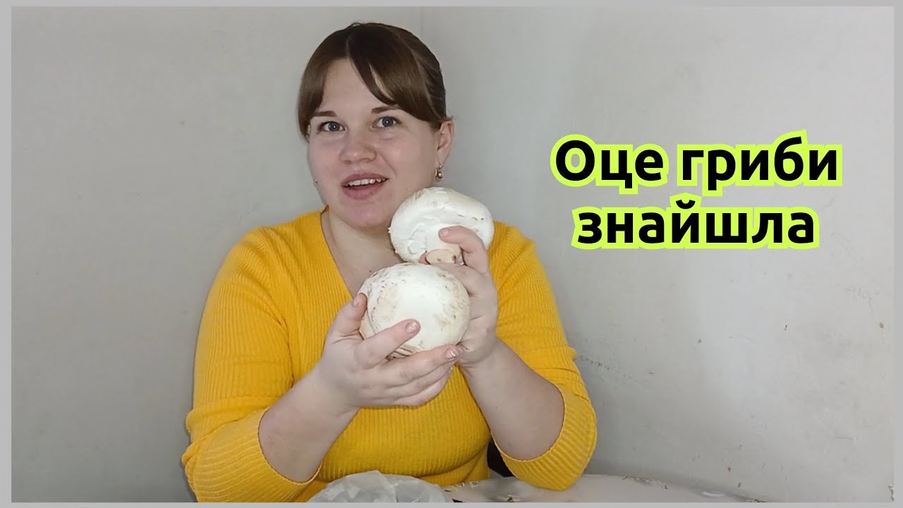 Буся захворіла — їдемо до лікаря 😔Халва — вийшла чи ні?