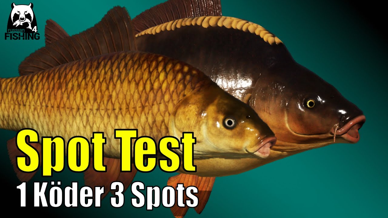 Russian Fishing 4 - Kupfersee - 3 Spots 1 Köder! Spot test auf Pop-Up- Rig #rf4
