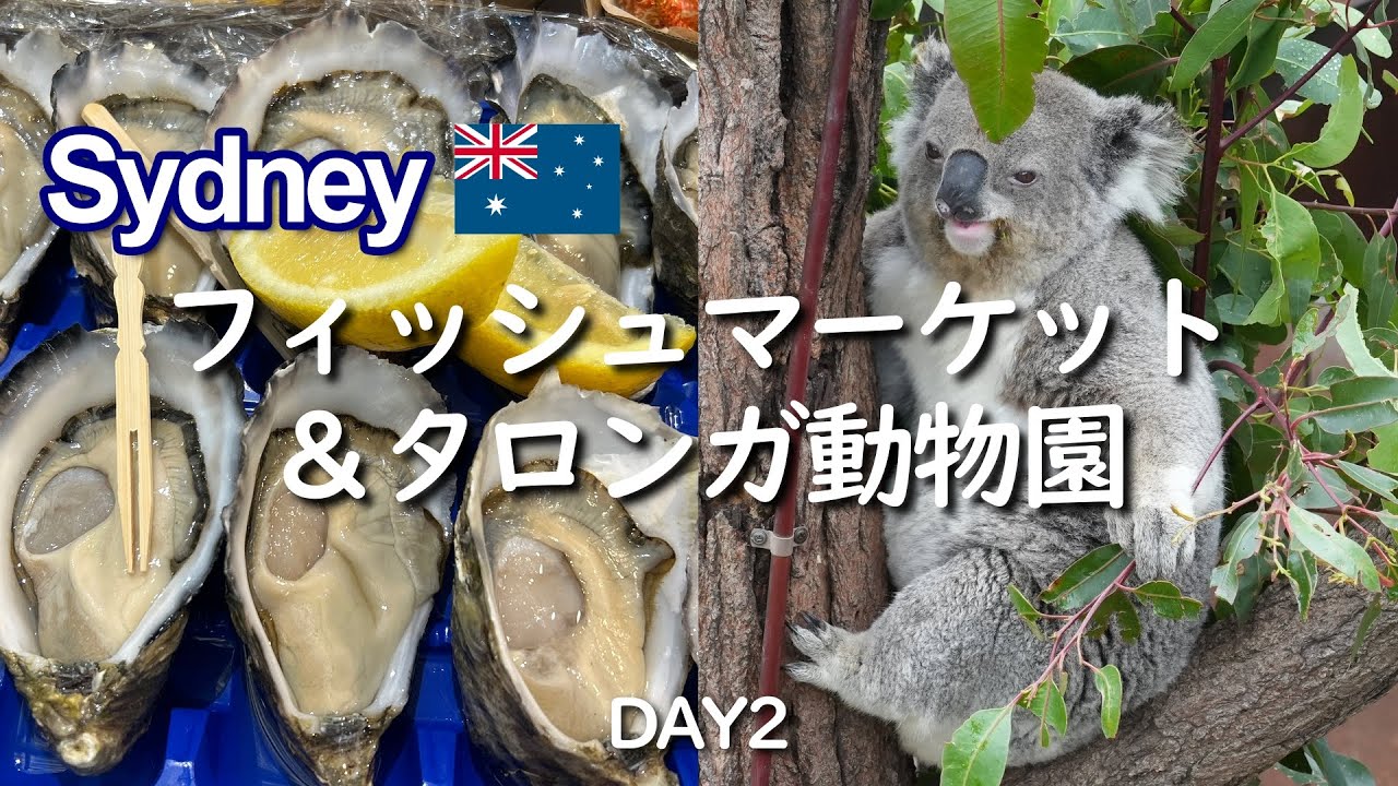 【2024シドニー2】フィッシュマーケットとタロンガ動物園