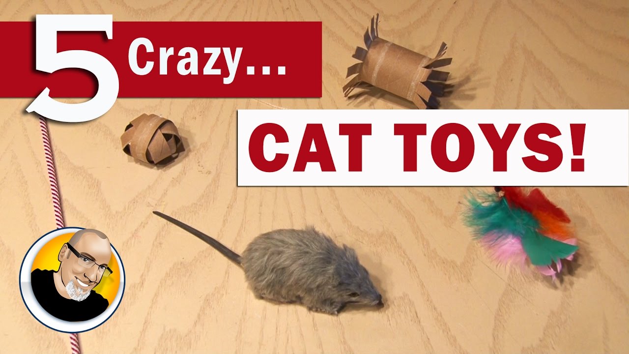 5 Crazy Cat Toys You Can Make!