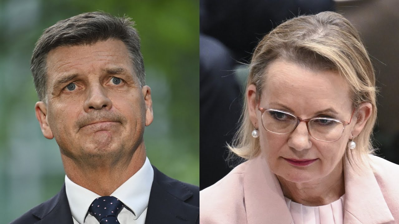 Liberal Party needs to ‘rebuild’ its brand after Ley’s departure