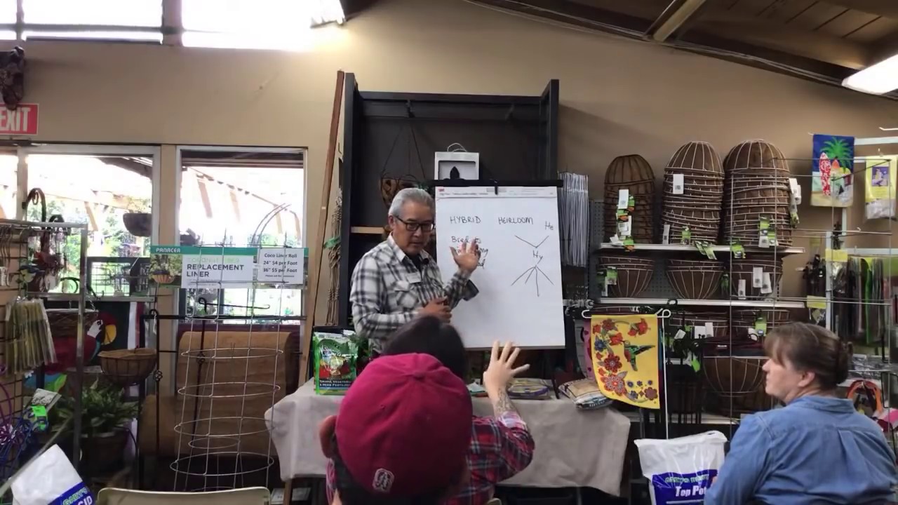 Growing Tomatoes | LIVESTREAM