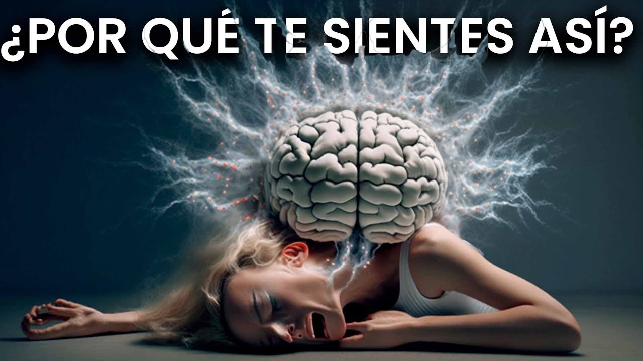 TODO sobre los NEUROTRANSMISORES ✅  Salud Mental y Emociones - (Tipos, Clasificación y Funciones)