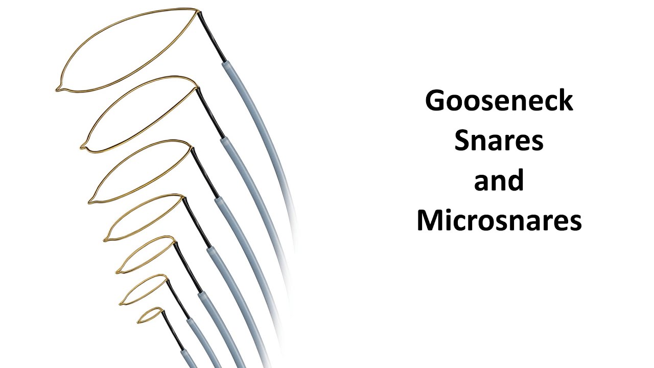 How to Prepare and Use a Gooseneck Snare