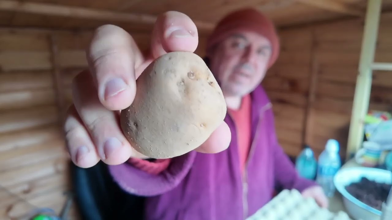 The Rusty Homestead: Year 2, January Journal