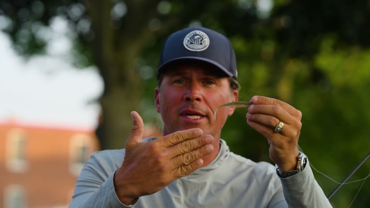 P Line Spin X Tips [Full]