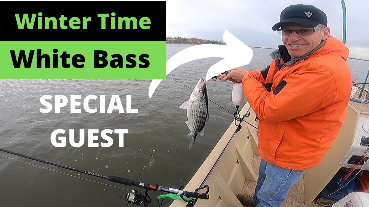 Winter White Bass with Special Guest Bob Maindelle of Holding the Line Guide Service