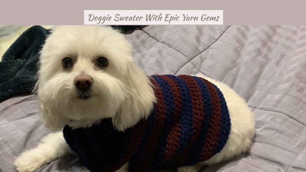 Doggie Sweater With Epic Yarn Gems