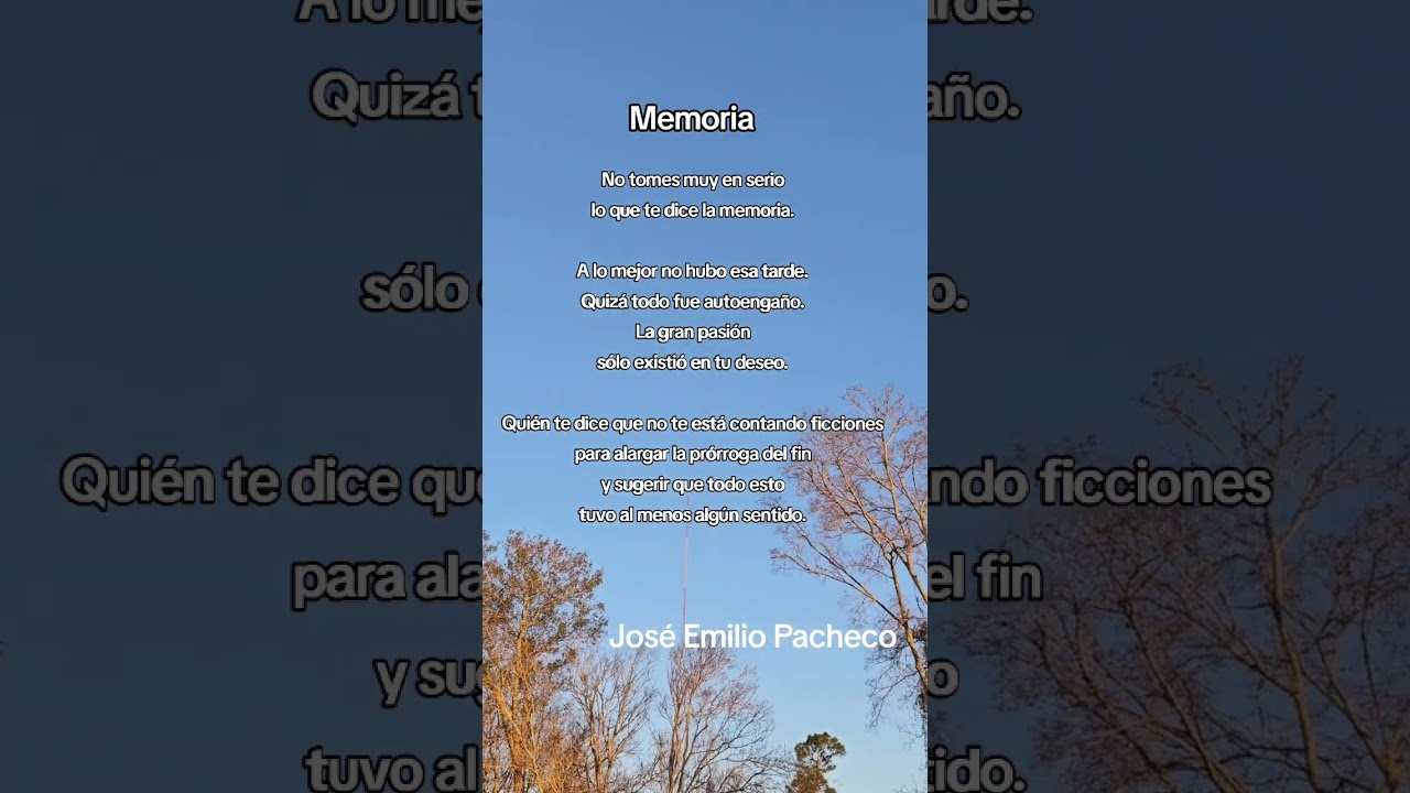 Poesia! palabras que sanan...!! #poemasescritos #amor