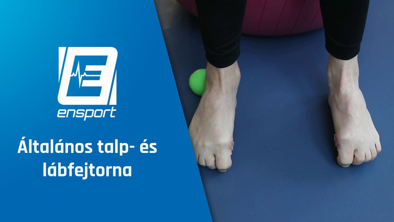 Általános talptorna | ENSPORT
