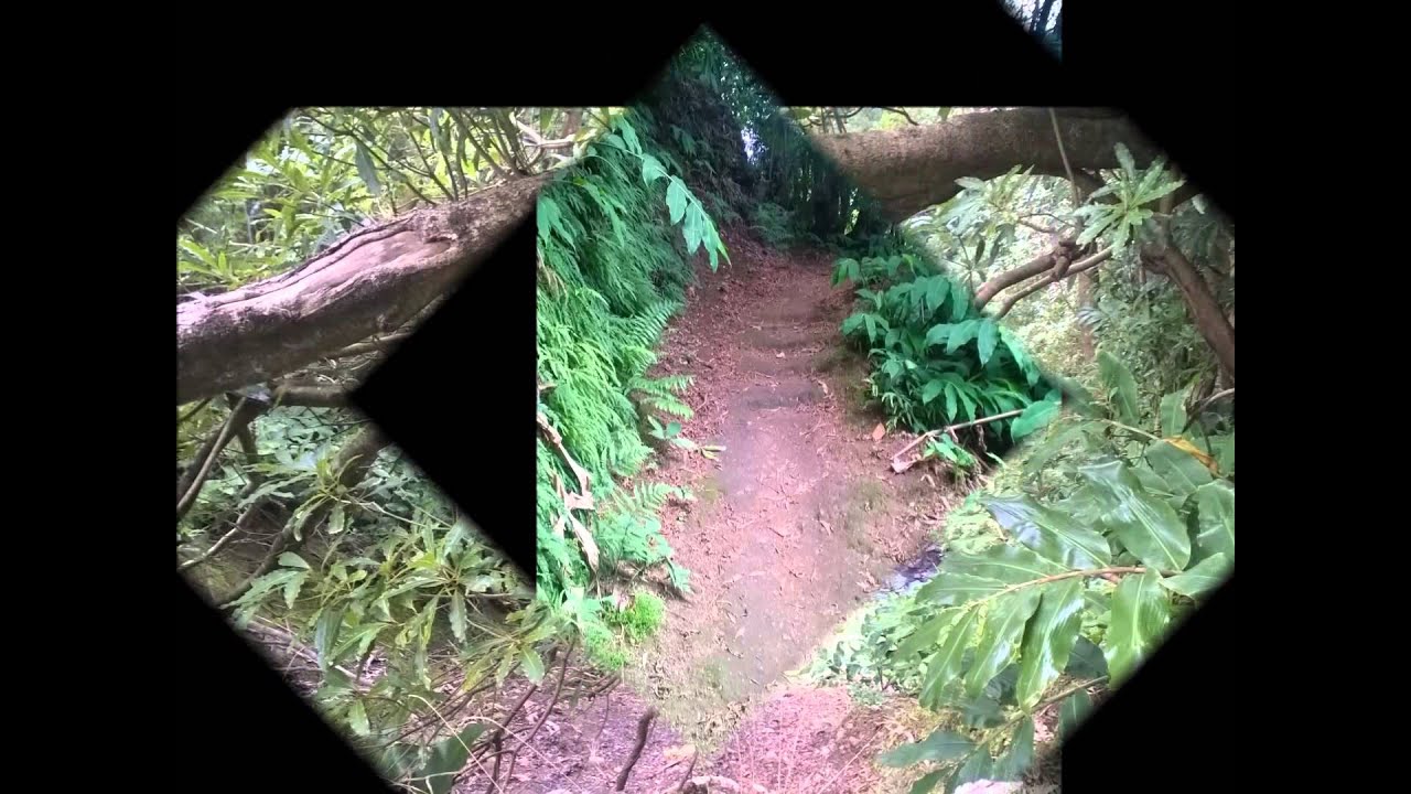 Wandern auf Sao Miguel Azoren Teil2