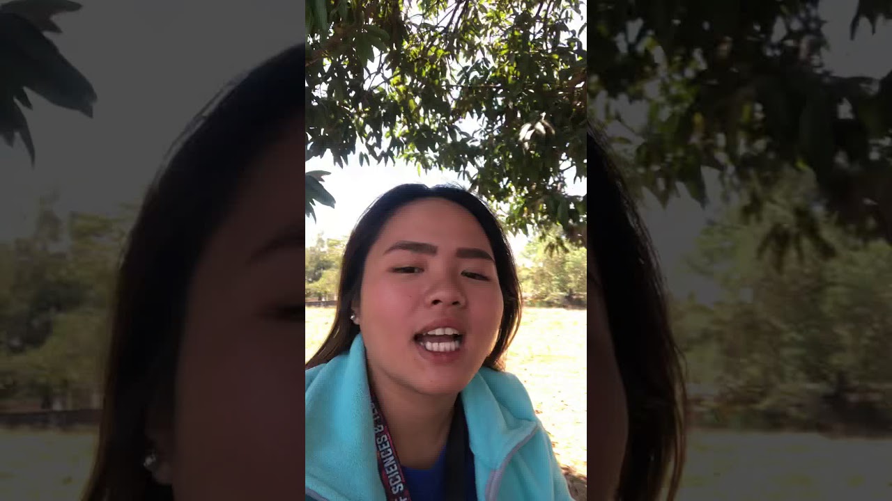 ASIST LAGANGILANG MAIN CAMPUS