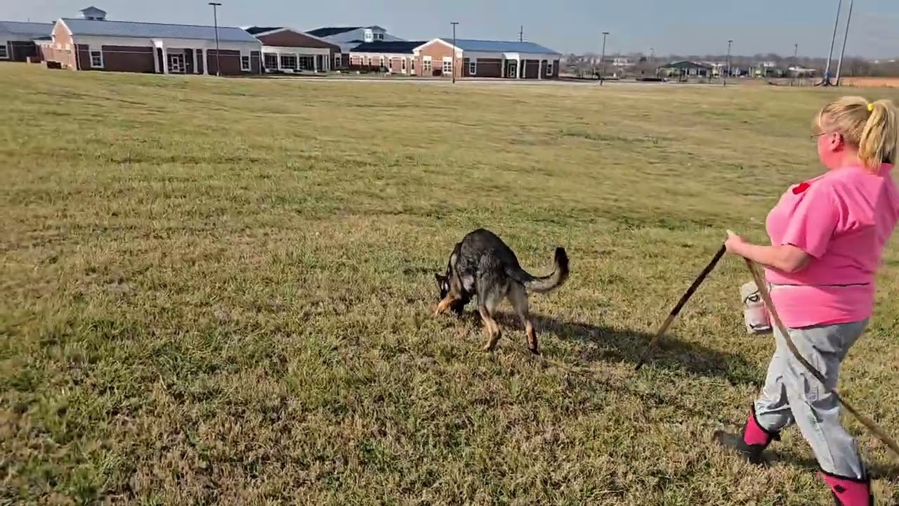 Pup tracking 022826